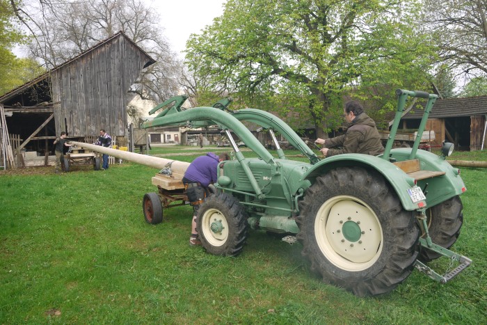 1.Mai_Freihamer_Baum_11.jpg