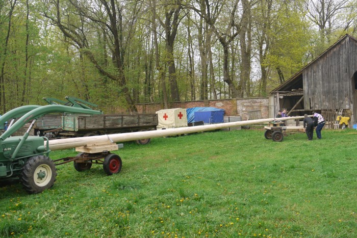 1.Mai_Freihamer_Baum_14.jpg