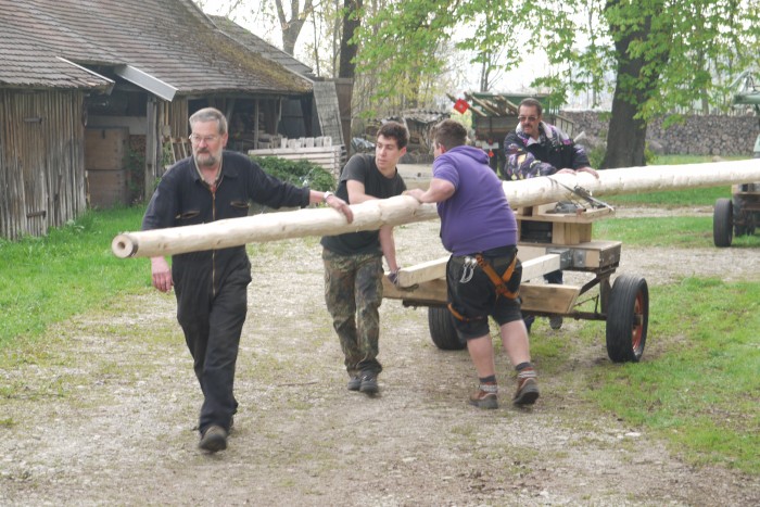 1.Mai_Freihamer_Baum_16.jpg