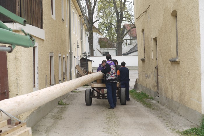 1.Mai_Freihamer_Baum_19.jpg