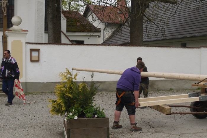 1.Mai_Freihamer_Baum_20.jpg
