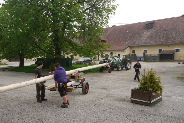 1.Mai_Freihamer_Baum_21.jpg