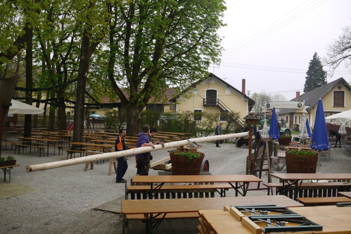 1.Mai_Freihamer_Baum_22.jpg