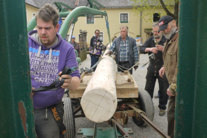 1.Mai_Freihamer_Baum_29.jpg
