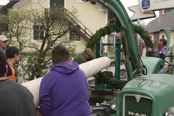1.Mai_Freihamer_Baum_32.jpg