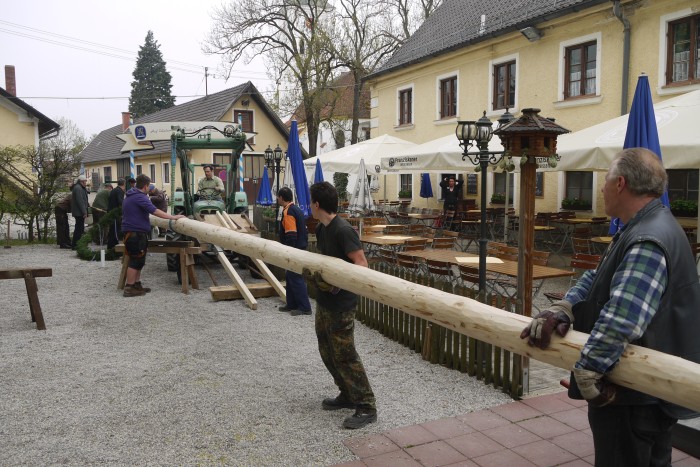 1.Mai_Freihamer_Baum_33.jpg
