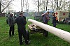 1.Mai_Freihamer_Baum_01.jpg