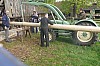 1.Mai_Freihamer_Baum_06.jpg