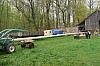 1.Mai_Freihamer_Baum_14.jpg