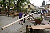 1.Mai_Freihamer_Baum_23.jpg