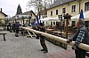 1.Mai_Freihamer_Baum_33.jpg