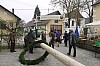 1.Mai_Freihamer_Baum_34.jpg